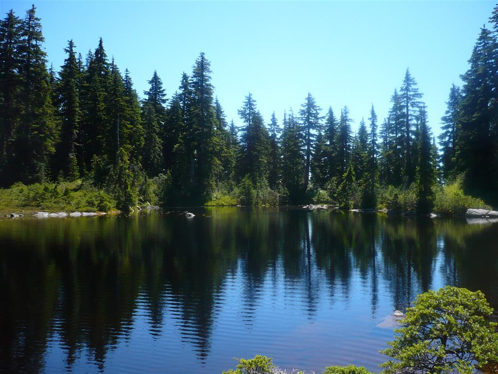 Sam Lake, Theagill Lake, and Cabin Lake on Cypress Vancouver Trails