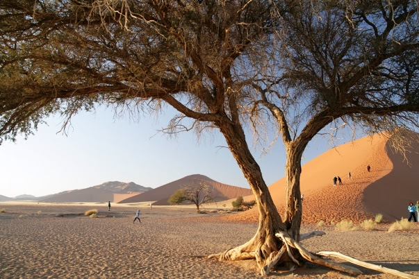 Sossusvalei Namibie Duinen Djoser