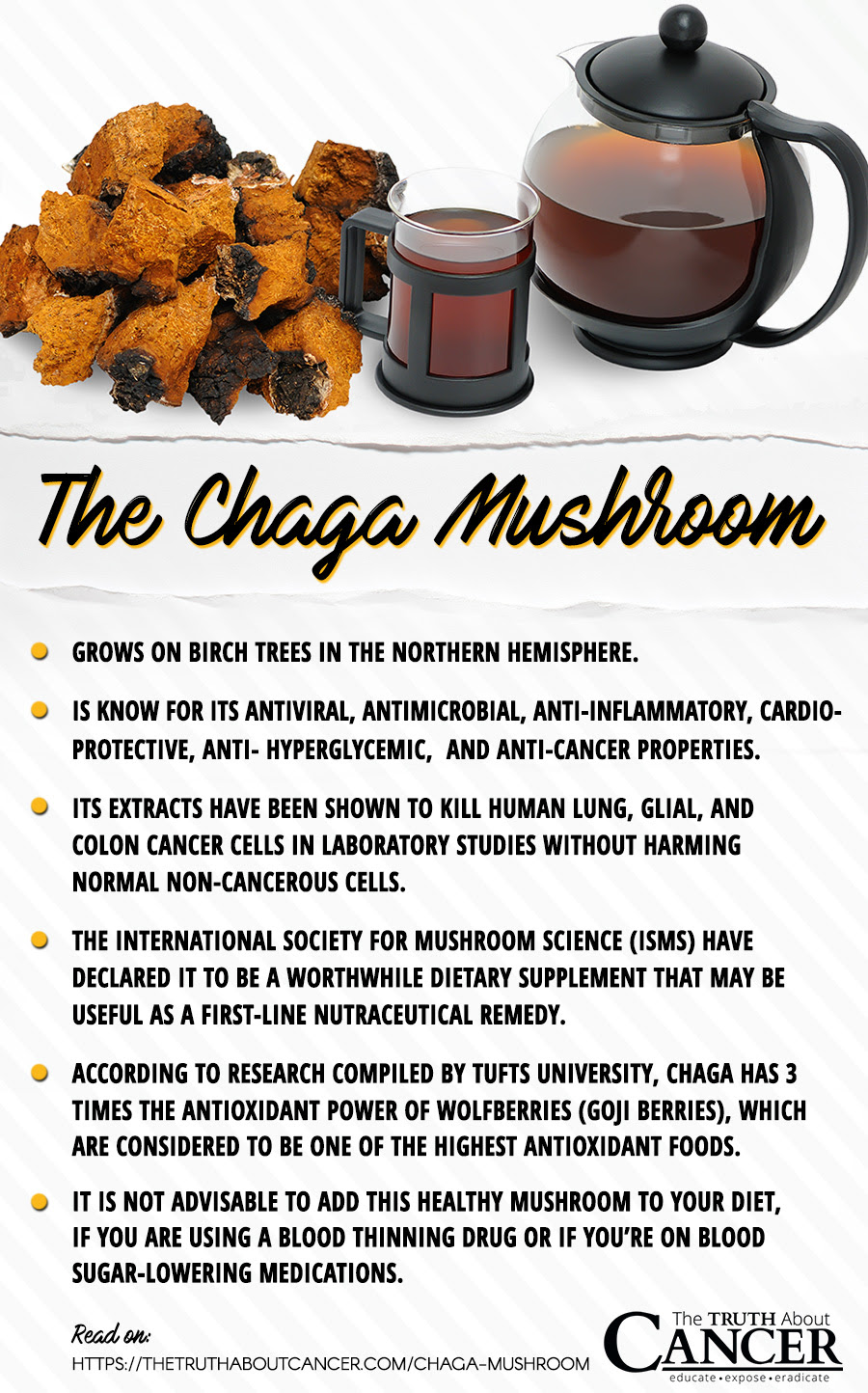 Chaga Mushroom facts backed by studies. Click on the image to read the full article on The Truth About Cancer.