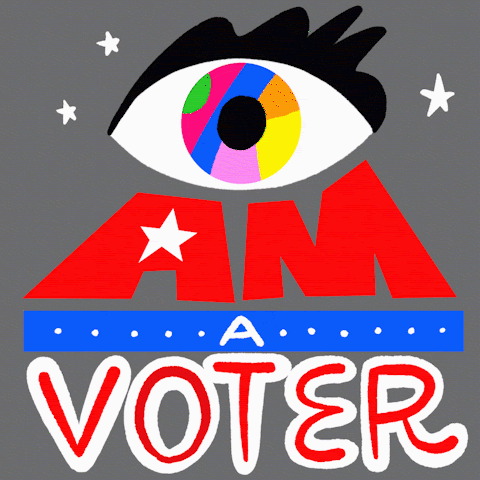 I am a voter