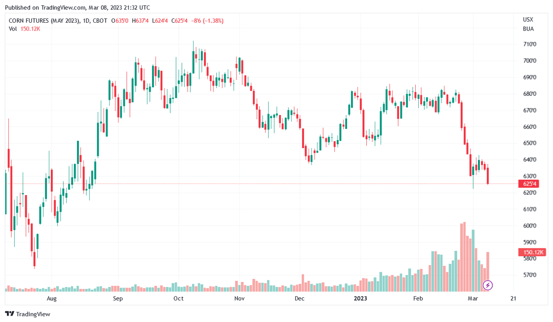 Grain Market Recap 3.8.23 | AgWeb