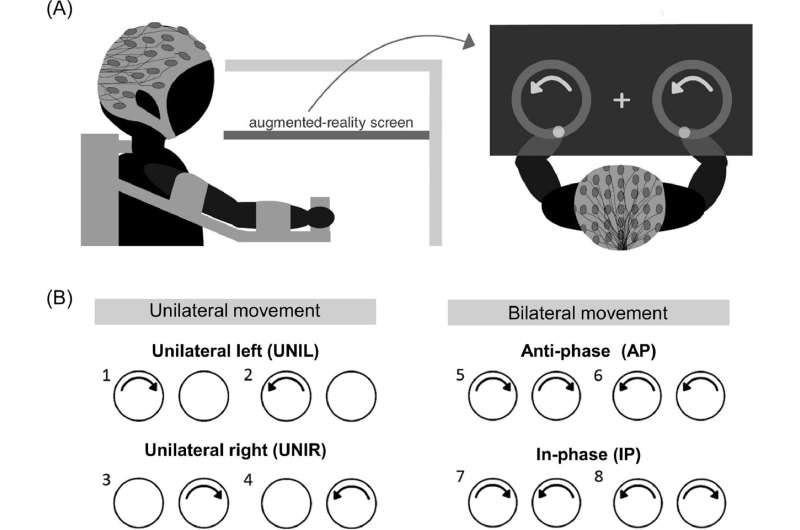 Two-handed movements require more neural effort as people grow older