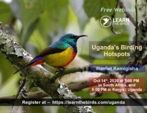 Uganda birding hotsport thumbnail
