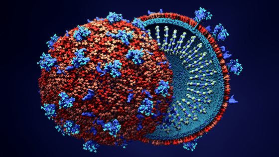 FDA-approved anti-parasitic drug ivermectin can kill the coronavirus within 48 hours, reports new study Coronavirus-virus-dissection-examine