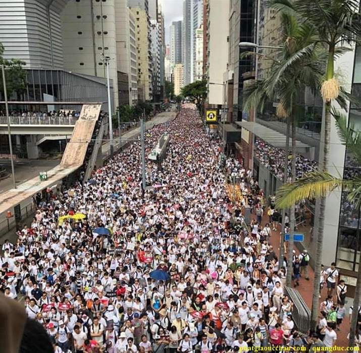 Hong kong crisis-6 Hong kong crisis-6