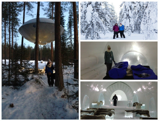 inside and outside of the UFO treehouse and the Birdsnest treehouse in Sweden