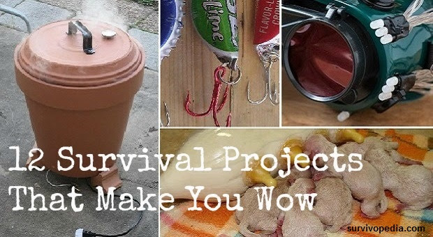 12 Survival Projects That Make You Wow