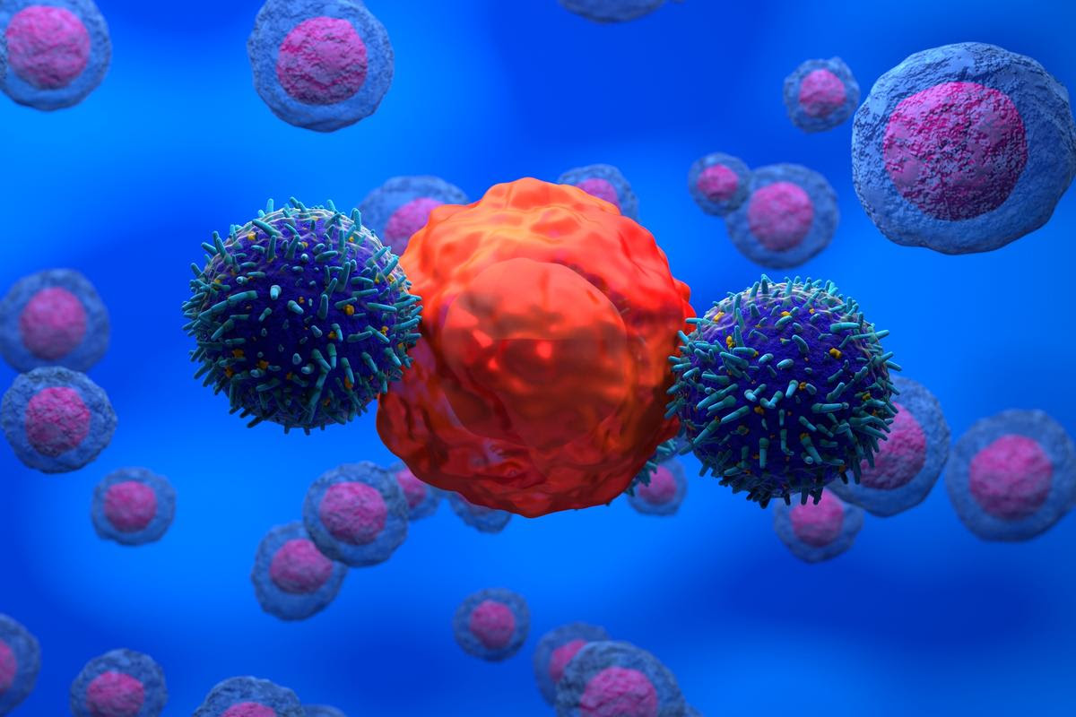 Researchers have found a mechanism by which T cells become "exhausted" fighting cancer – and potentially uncovered a way around it