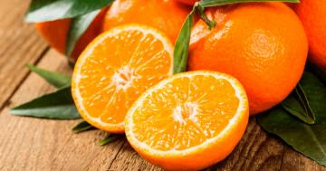 Exportaciones peruanas de naranjas cayeron 20% en volumen y 27% en valor de abril a noviembre del 2021