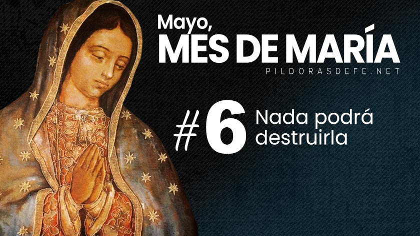 Mayo, mes de María. Día 6: Nada podrá destruirla