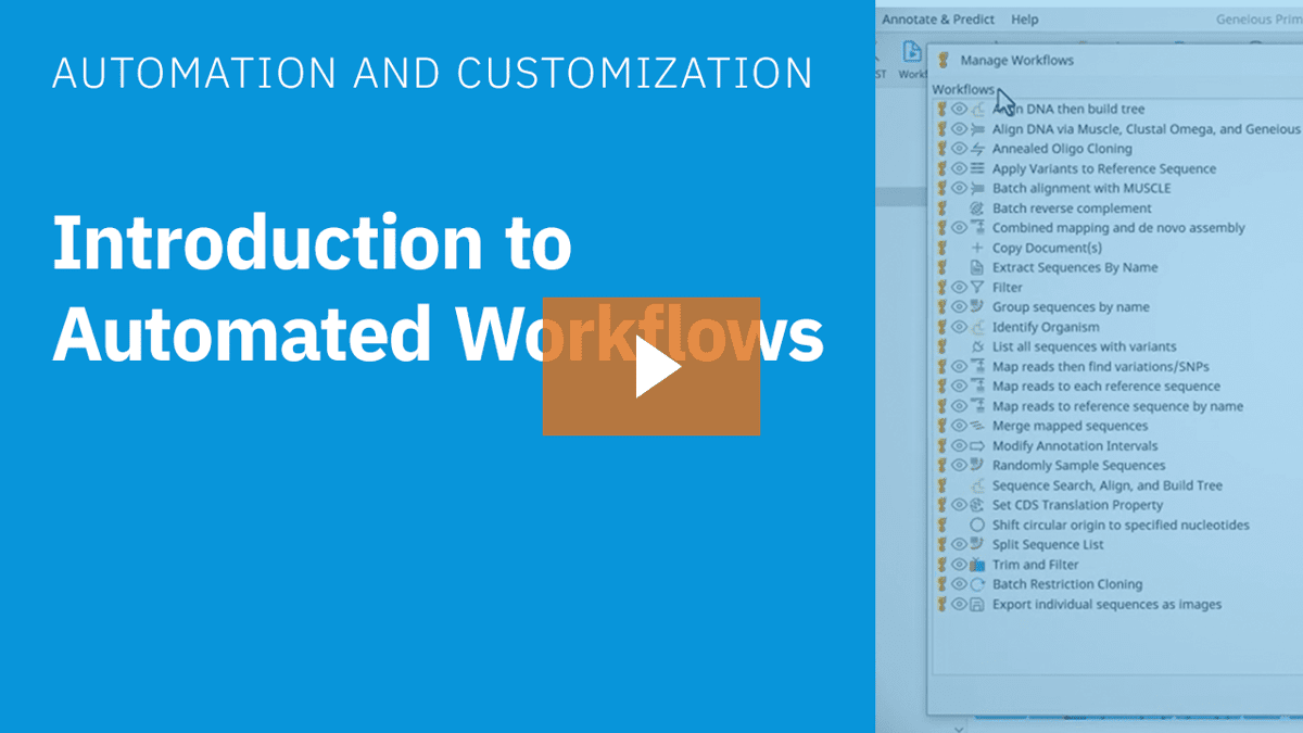 GN Introduction to Automated Workflows