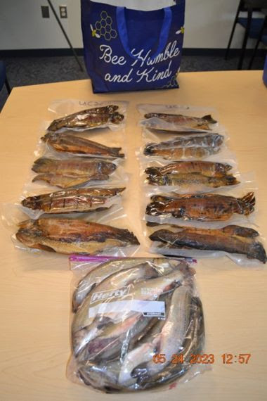 packaged illegal trout