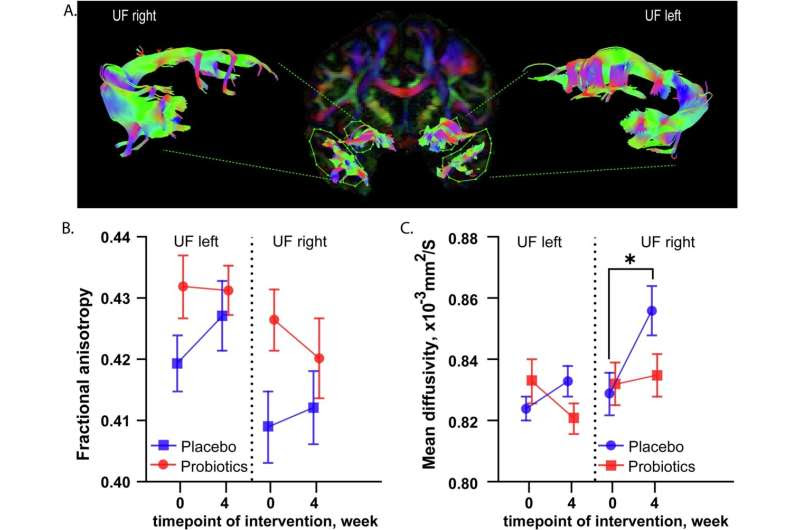 Disrupted gut microbiome involved in depression