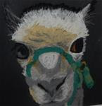 Al Paca - Posted on Saturday, March 7, 2015 by Elaine Shortall