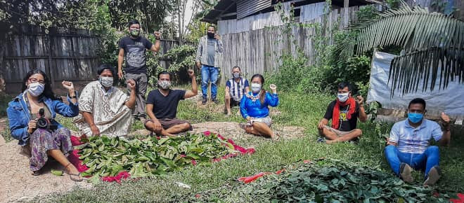 Indígenas preparan plantas para uso medicinal