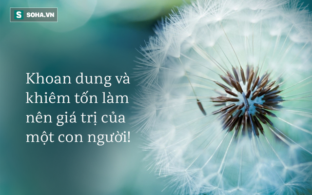  Chỉ vào 1 cái cây và hỏi vài câu, vị sư phụ dạy cho đệ tử bài học nhớ đời về thói khoe khoang - Ảnh 1.