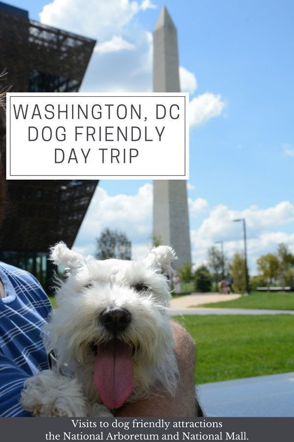 Washington, DC DogFriendly Day Trip (With images) Washington dc