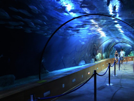 Oceanogràfic