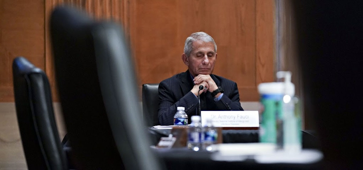 Republican Introduces FIRED Act: ‘Fauci Incompetence Requires Early Dismissal’