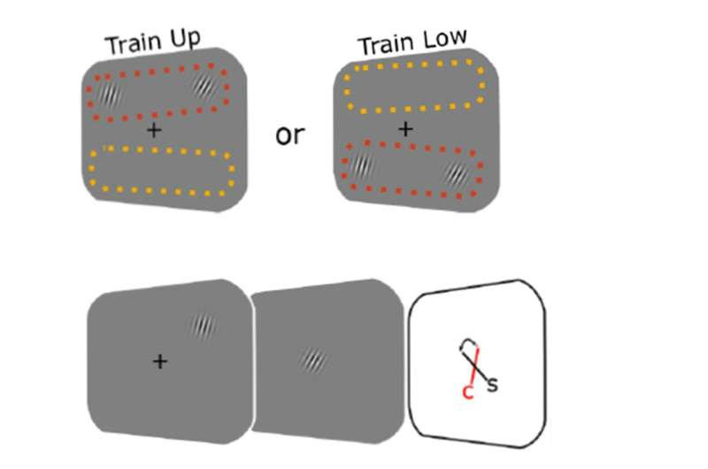 Visual perception is more rational than we think