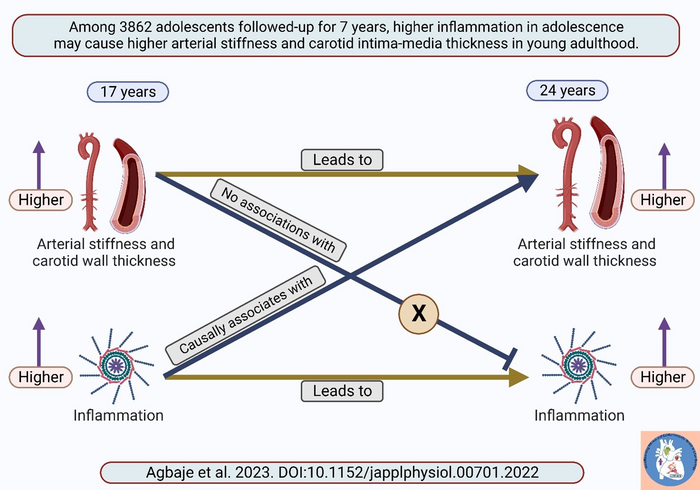 Increased low-grade inflammation causally associated with increased arterial stiffness in a 7-year follow-up.