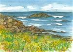 Blooming Rocky Coastline  - Posted on Friday, March 13, 2015 by Cathie Richardson