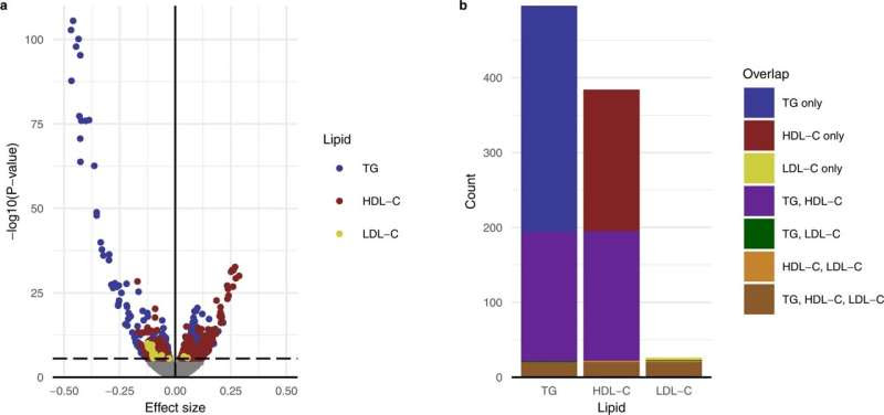 High levels of lipids in blood protect against allergies