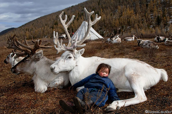 Nhiếp ảnh gia kiêm học giả Hamid Sardar-Afkhami đã hé lộ cho người xem những hình ảnh   chưa từng thấy về cuộc sống hàng ngày của người dân du mục Dukha (còn được biết đến với   tên gọi là bộ tộc Tsaatan) sống ở phía Bắc Mông Cổ.