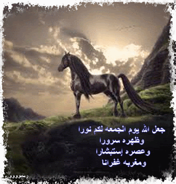 [تصميمي] صور جمعه, مباركه 2014 تصميمى. صور جمعه مباركه. جمعه مباركه, صور جمعه, مباركه جدي 3dlat.com_13977626764