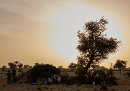 Campo profughi a Diffa in Niger. Foto: Sam Phelps/Caritas.