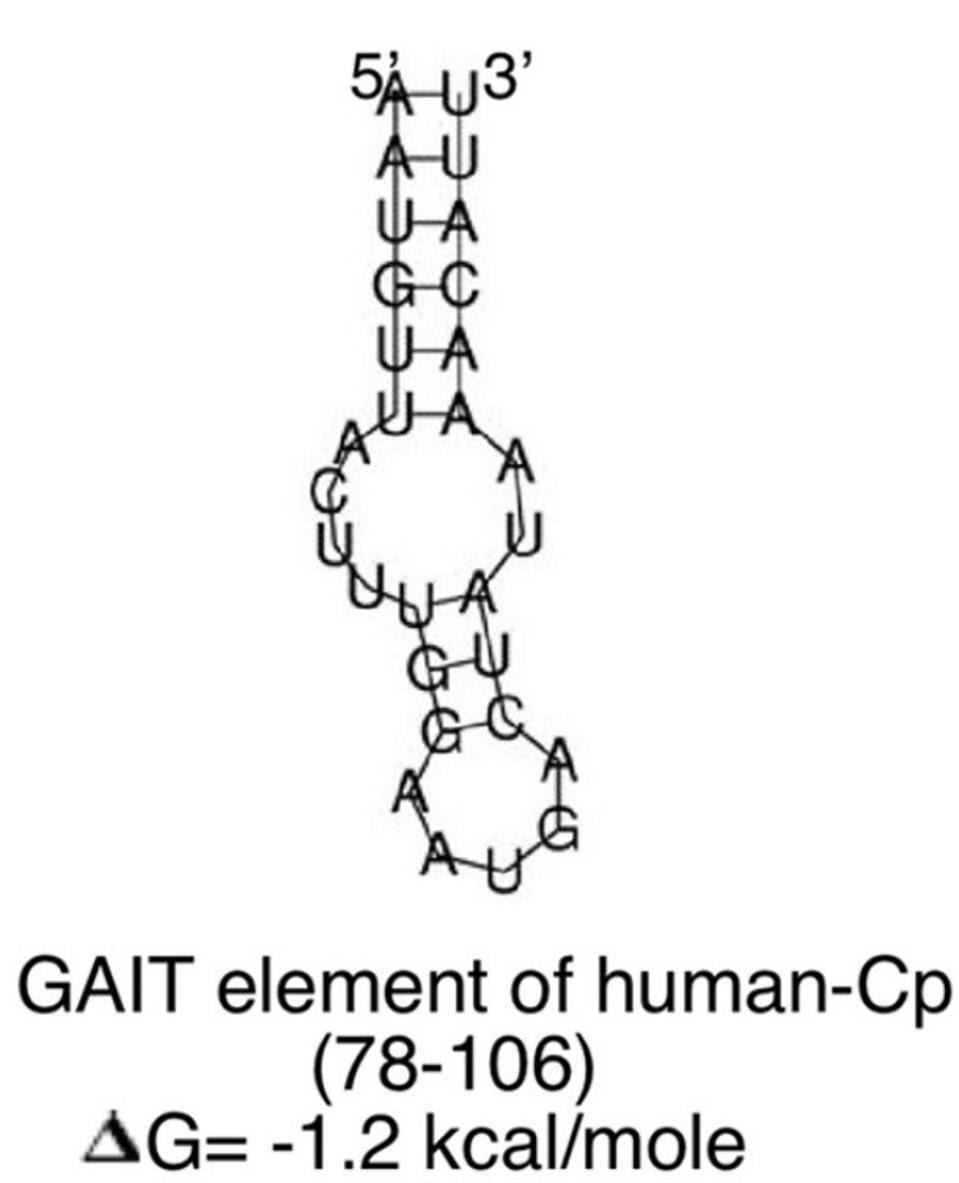 GAIT element of human ceruloplasmin