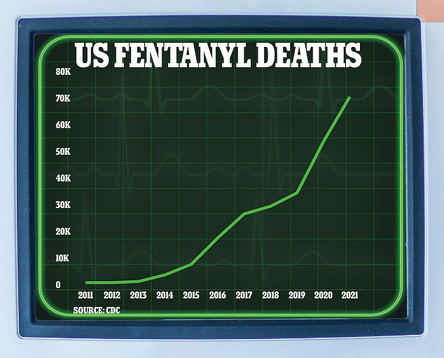 Deaths caused by fentanyl in the US surged in the 2010s. At the start of the decade, 2,666 Americans died of a fentanyl overdose. This figure shot up to 19,413 by 2016. Covid made the situation worse, with a record 72,484 deaths recorded in 2021