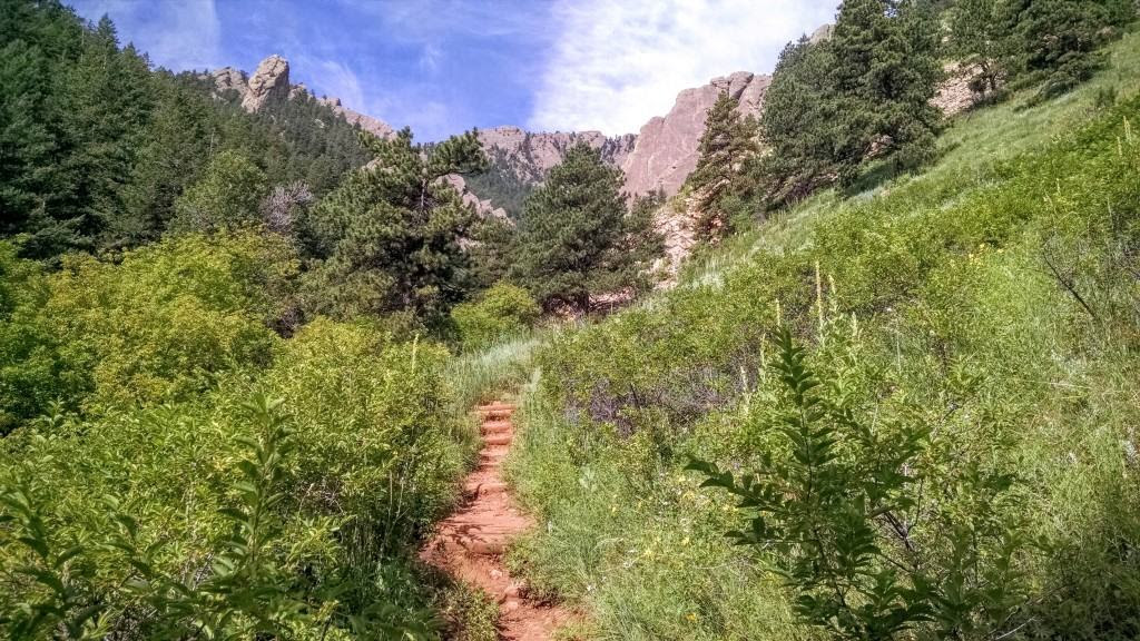 Near my home in Boulder County