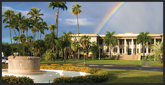 rainbow behind building surrounded by palmtrees