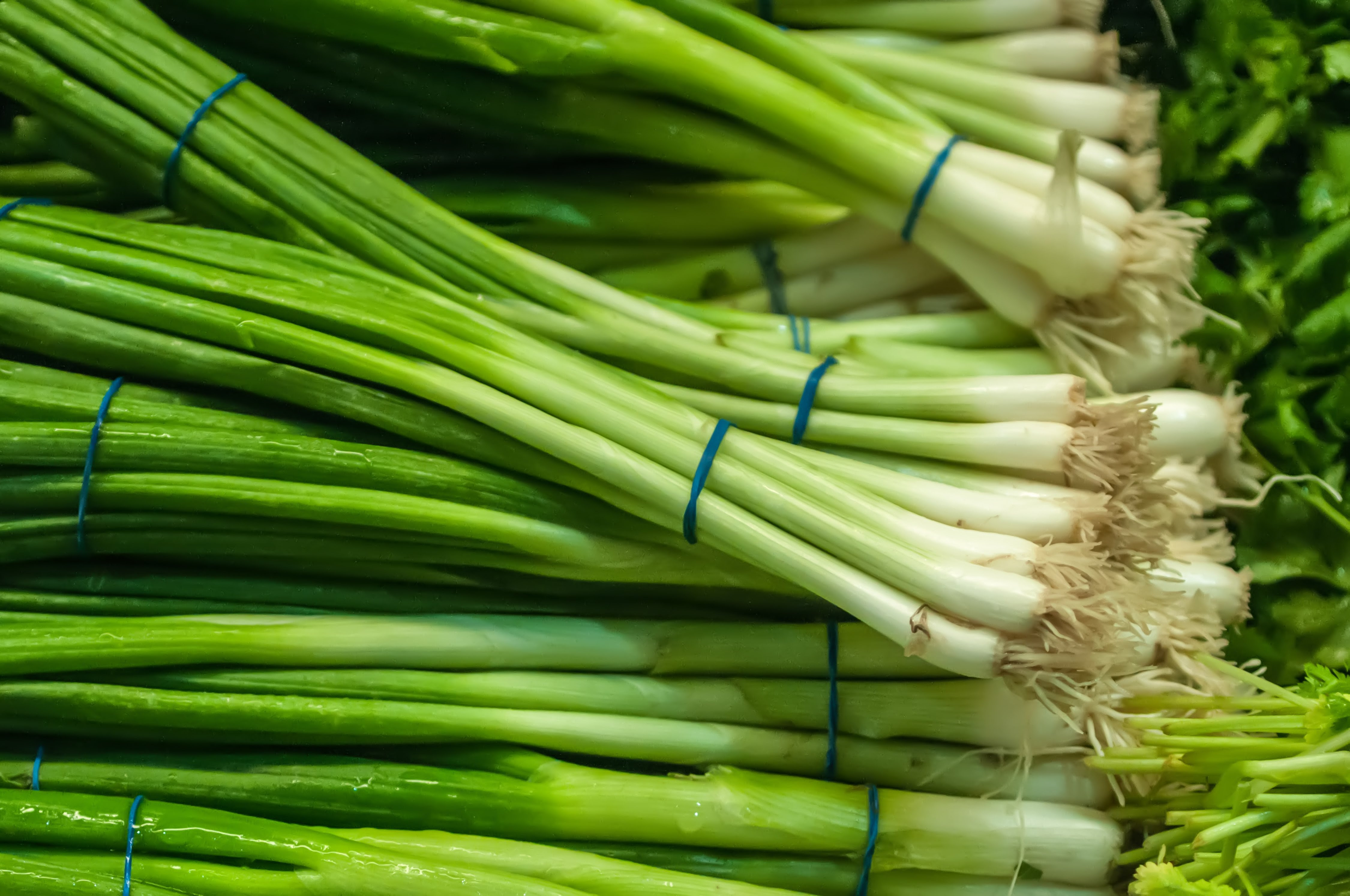 green onions