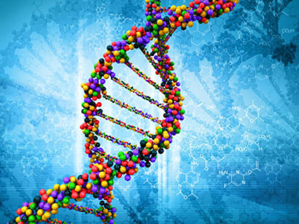 6359842815382144971057983032 DNA