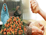 روزی