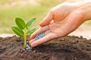 Laying down rules on the making available on the market of CE marked fertilising products.jpg © European Union 2017 - European Parliament Agriculture / Hand pouring fertilizer to a young green plant with morning sunlight / Nurturing baby plant