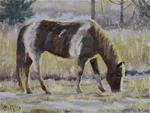 Afternoon Paint, 6x8, signed oil, $75, Horse, original - Posted on Thursday, January 22, 2015 by Sean Conrad