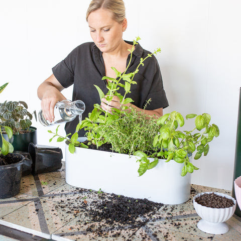 Step 6: How To Create Your Own Herb Garden