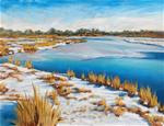 December Marsh - Posted on Wednesday, February 4, 2015 by Karen Scott