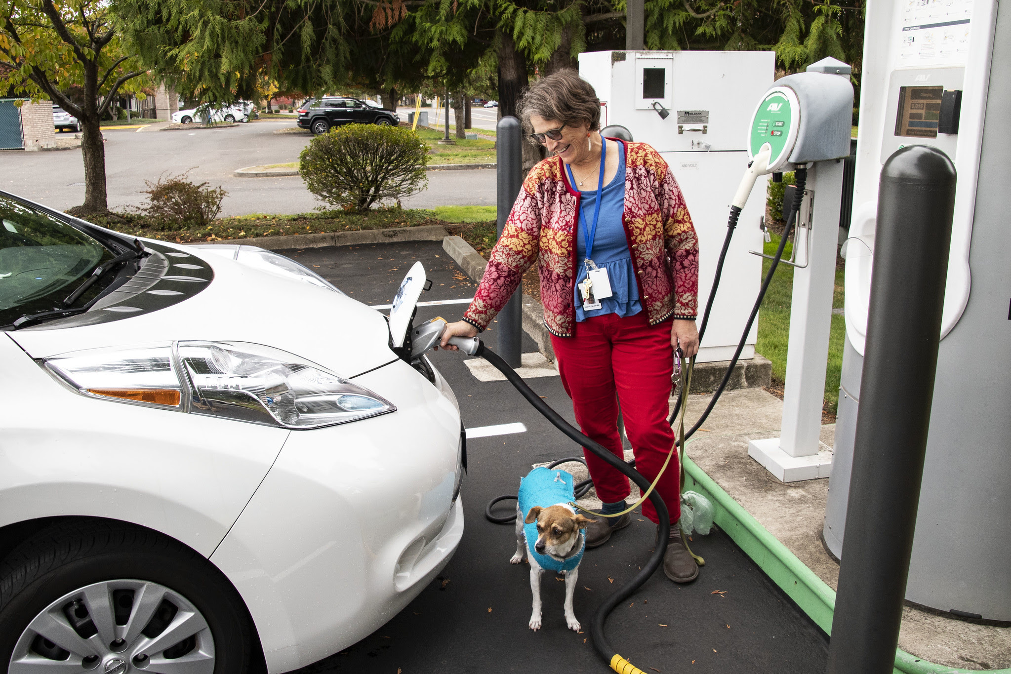 A woman and her dog stand at an electric vehicle charger, plugging it in to charge a white electric vehicle.