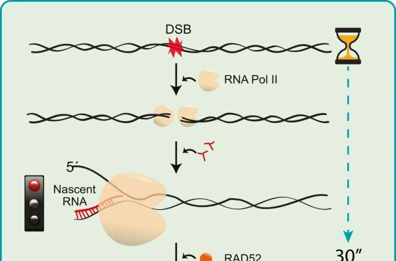 The origin-of-life molecule, a key to cancer research