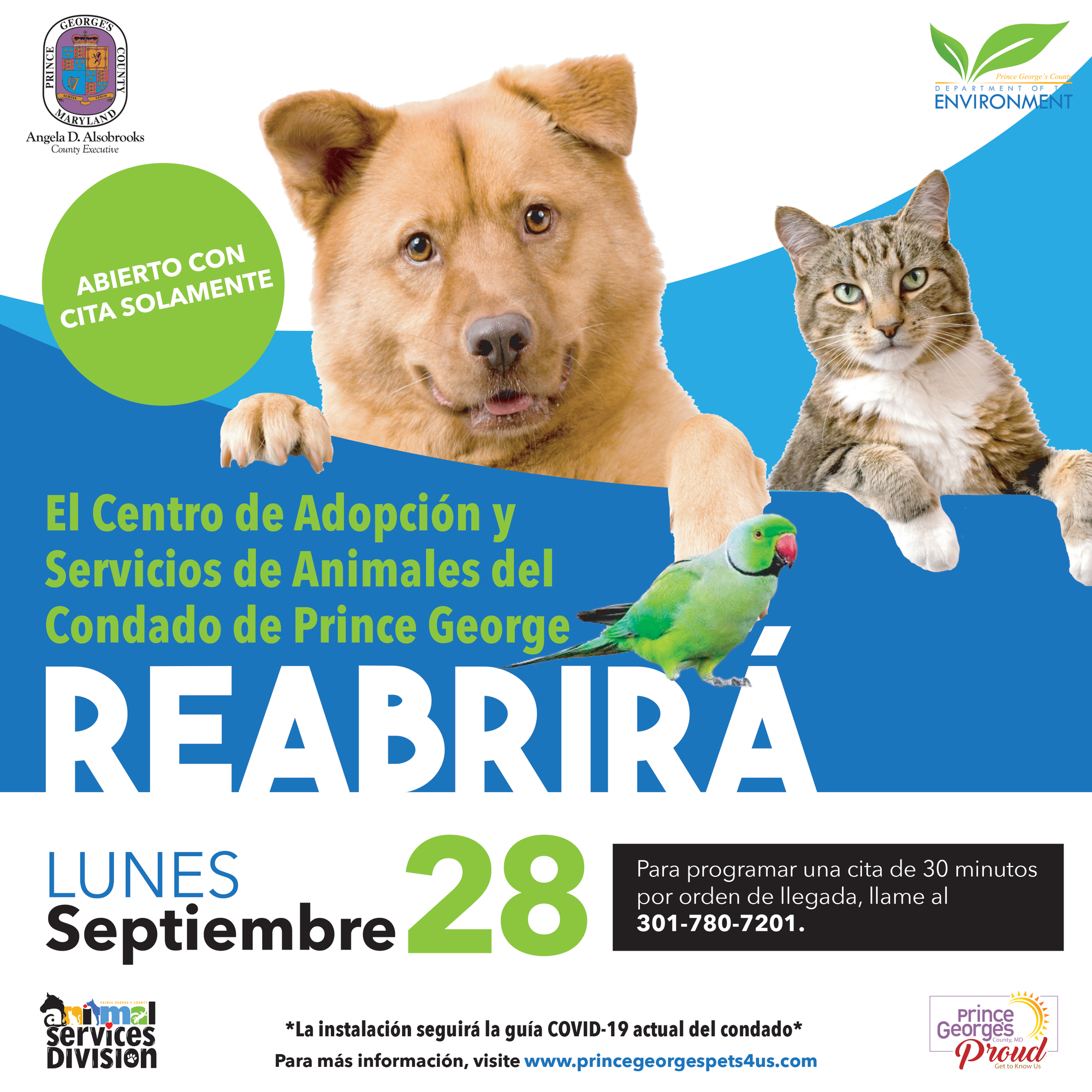 Animal Shelter ReopensSpanish
