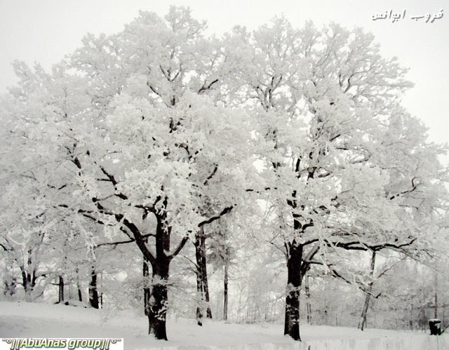 الثلوج في اوروبا