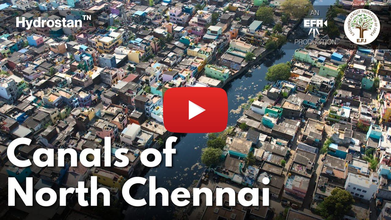 Hydrostan - Canals of North Chennai | Otteri Nala - Captain Cotton Canal - Kodungaiyur Canal | EFI