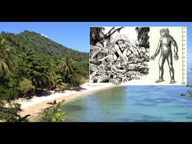 Does a Giant Race Still Exist in the Solomon Islands? Sddefault