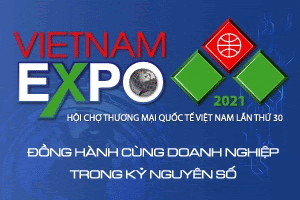 banner vinexad 300x200