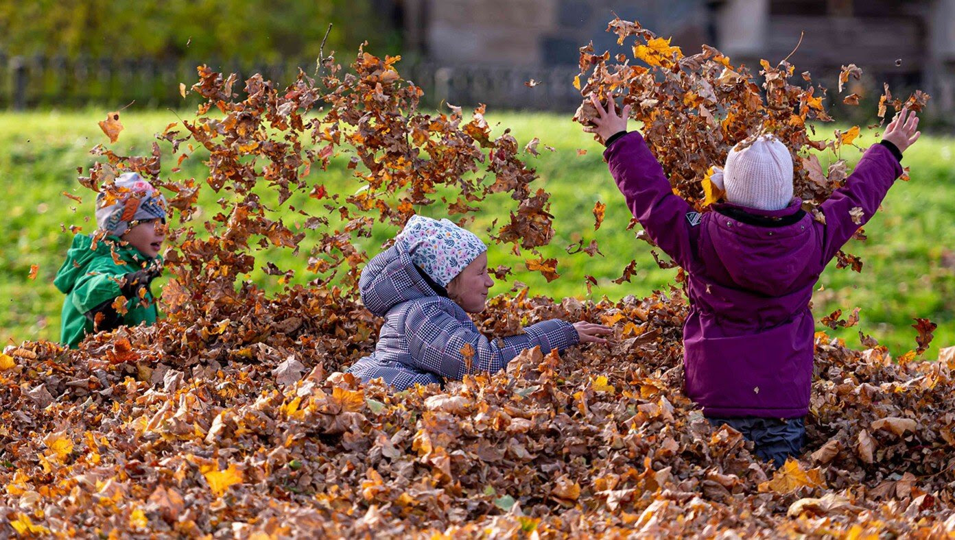 Kids Joyfully Frolic In Pile Of Autumn Leaves And Dog Poop