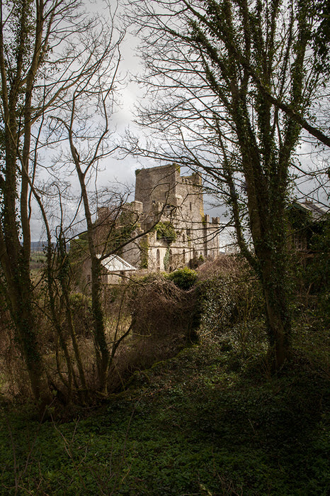 Regula_ysewijn_Leap-Castle_Mid-IRELAND-3986 (466x700, 554Kb)